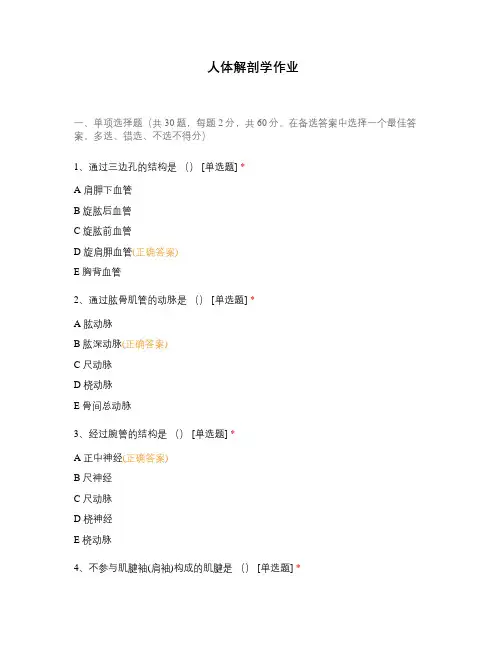 人体解剖学作业 (1)