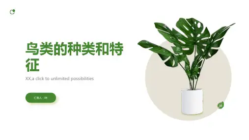 鸟类的种类和特征