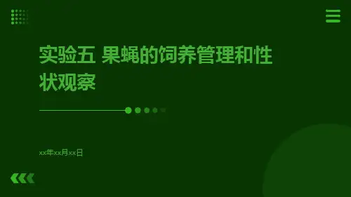 实验五果蝇的饲养管理和性状观察