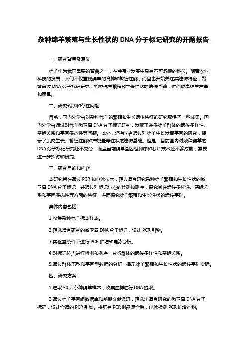 杂种绵羊繁殖与生长性状的DNA分子标记研究的开题报告