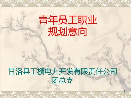 青年员工职业生涯规划课件PPT课件