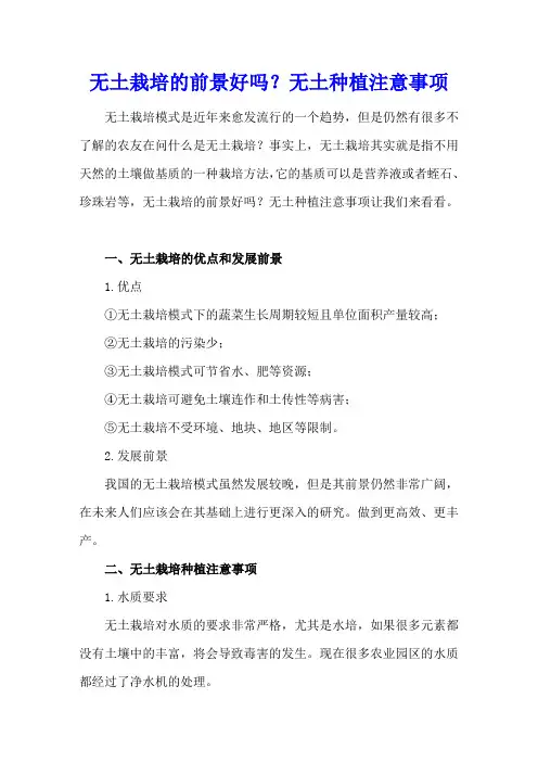 无土栽培的前景好吗？无土种植注意事项