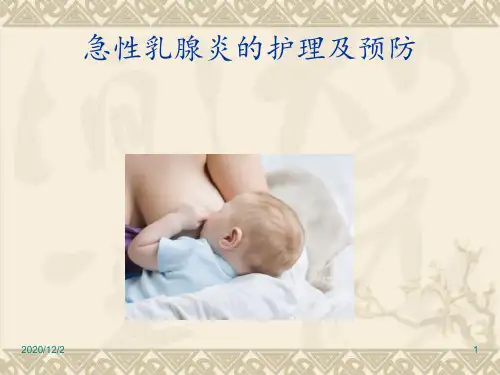 急性乳腺炎护理 ppt课件