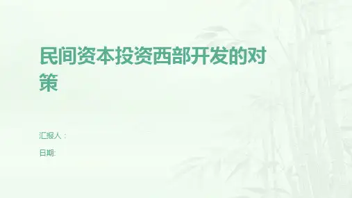 民间资本投资西部开发的对策
