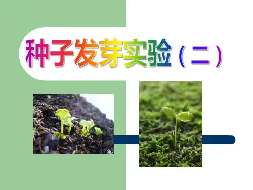教科版五年级科学上册 (种子发芽实验(二))生物与环境新课件教育