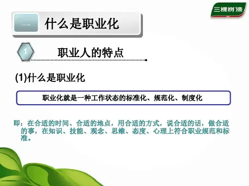 职业化手册