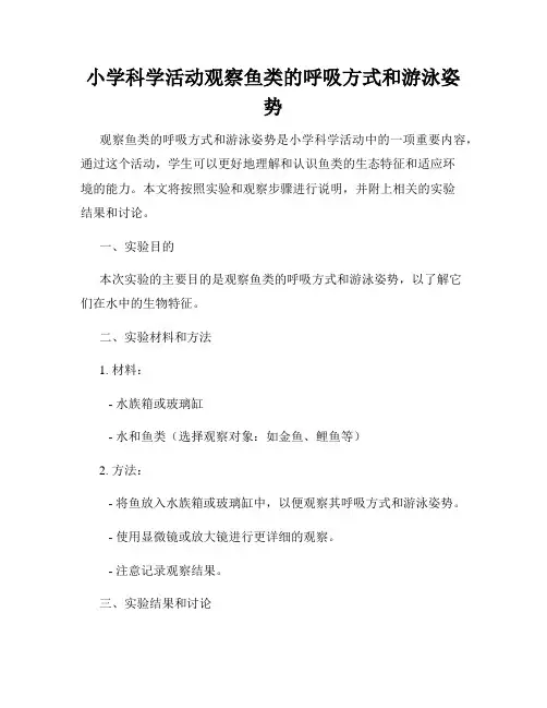小学科学活动观察鱼类的呼吸方式和游泳姿势