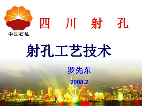 射孔技术.ppt