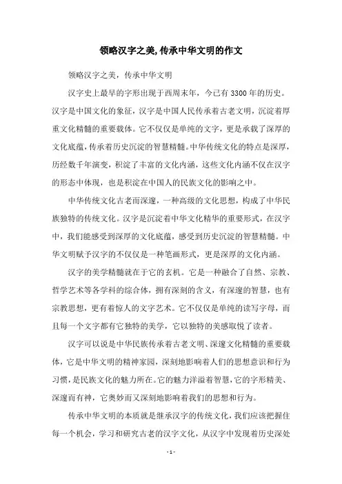 领略汉字之美,传承中华文明的作文