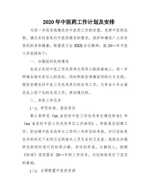 2020年中医药工作计划及安排