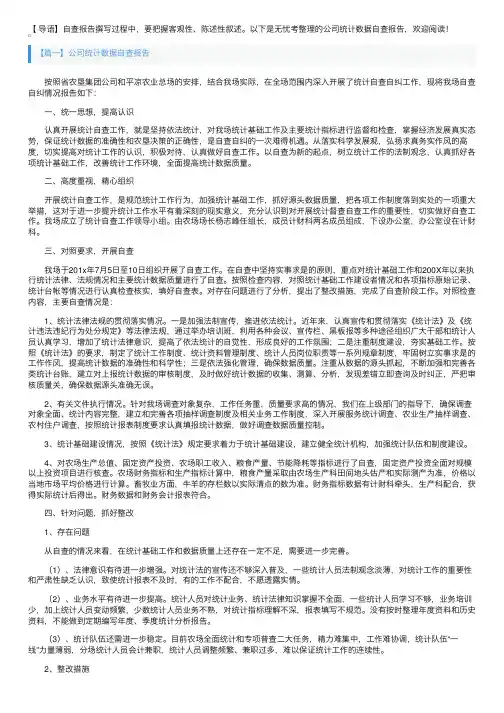 公司统计数据自查报告