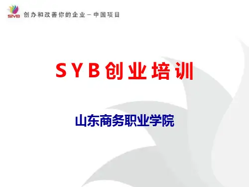 SYB第八步