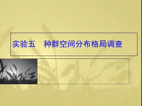 实验五种群空间分布格局调查-副本3