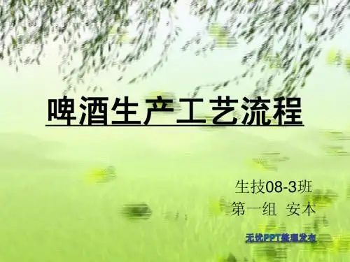 最实用啤酒生产设备
