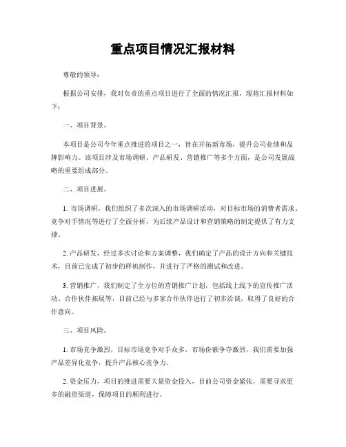 重点项目情况汇报材料