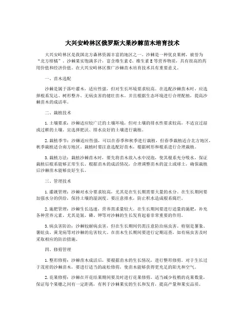 大兴安岭林区俄罗斯大果沙棘苗木培育技术