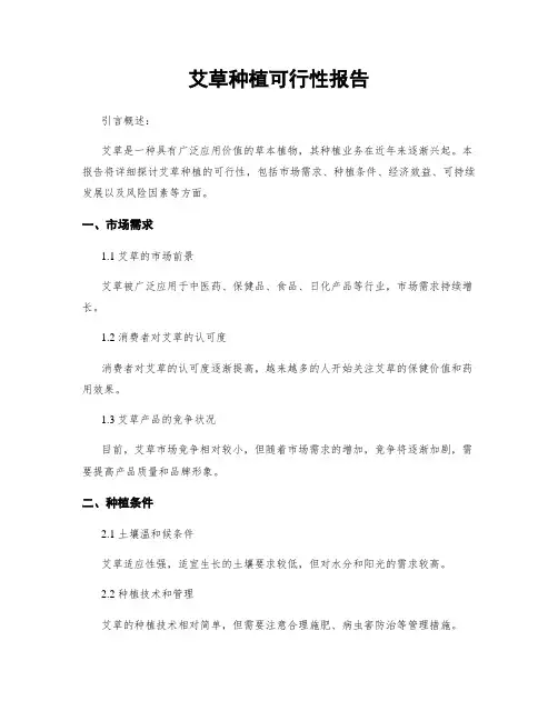 艾草种植可行性报告