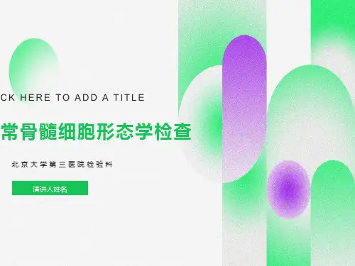 骨髓细胞形态学检查