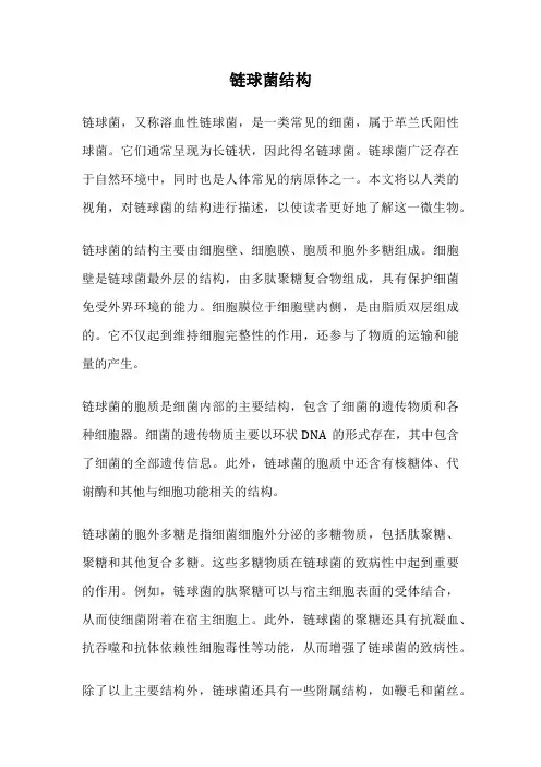 链球菌结构