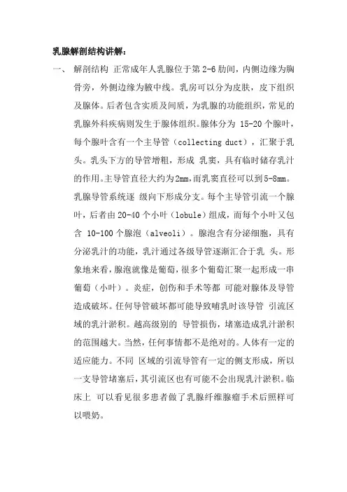 乳腺解剖结构讲解