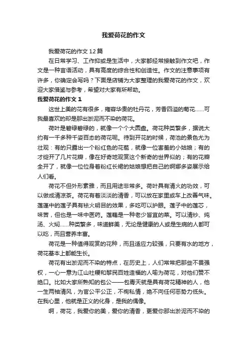 我爱荷花的作文