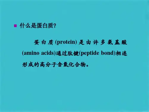 第一章蛋白质的结构与功能(共110张PPT)