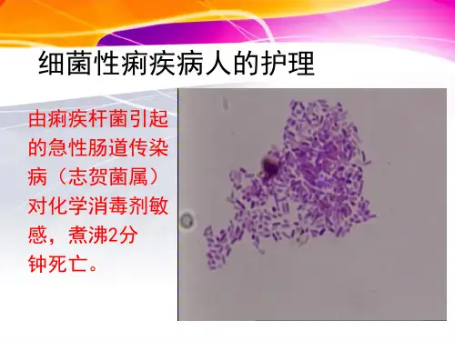 菌痢伤寒霍乱脑么炎