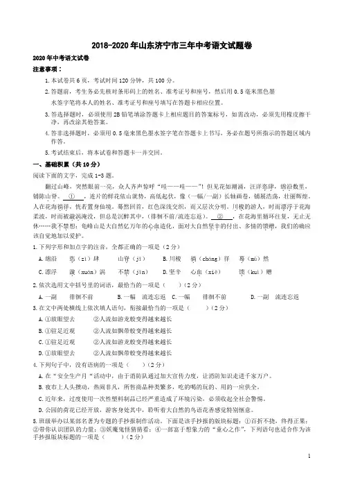 2018-2020年山东济宁市三年中考语文试题卷附答案解析