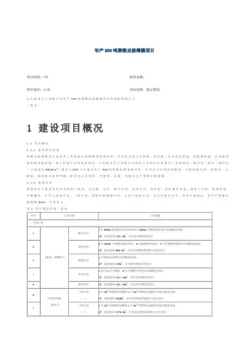 年产500吨聚酰亚胺薄膜项目方案
