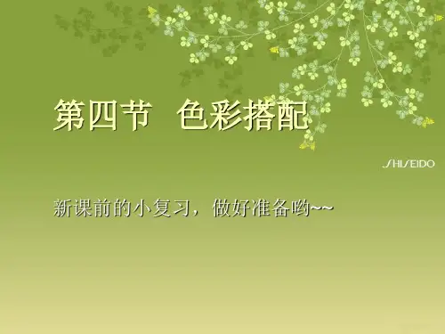 第五讲  色彩搭配、色调