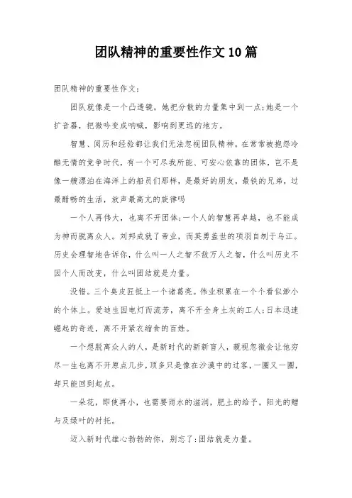 团队精神的重要性作文10篇