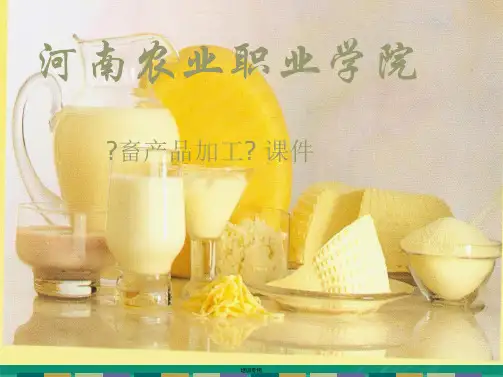 发酵乳制品培训课件(共38张PPT)精选全文
