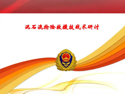 泥石流抢险救援技战术研讨
