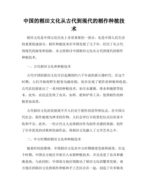 中国的稻田文化从古代到现代的稻作种植技术