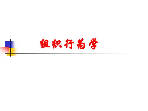 个体决策与群体决策