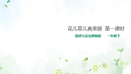 部编人教版道德与法治一年级下《花儿草儿真美丽》课件 