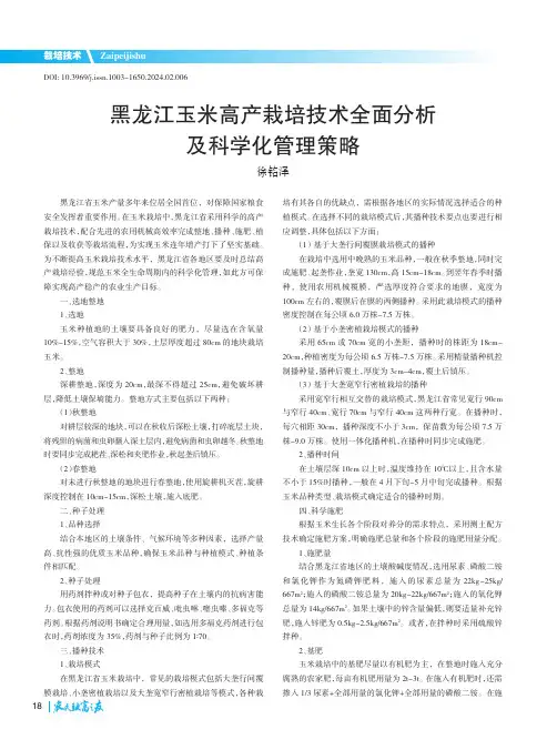黑龙江玉米高产栽培技术全面分析及科学化管理策略