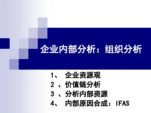 企业内部分析组织分析