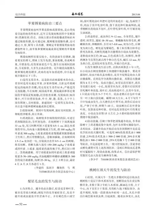 苹果锈果病防治三要点    