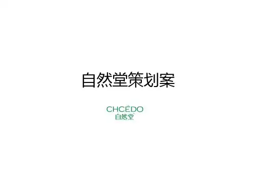 自然堂策划案