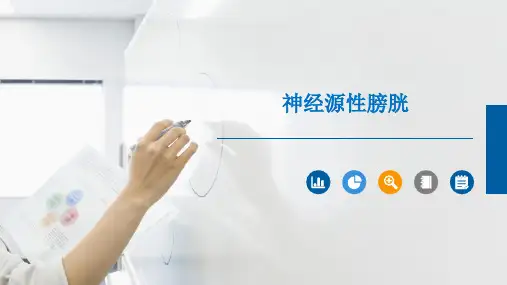 神经源性膀胱