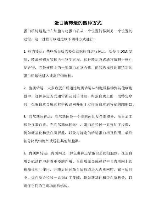 蛋白质转运的四种方式