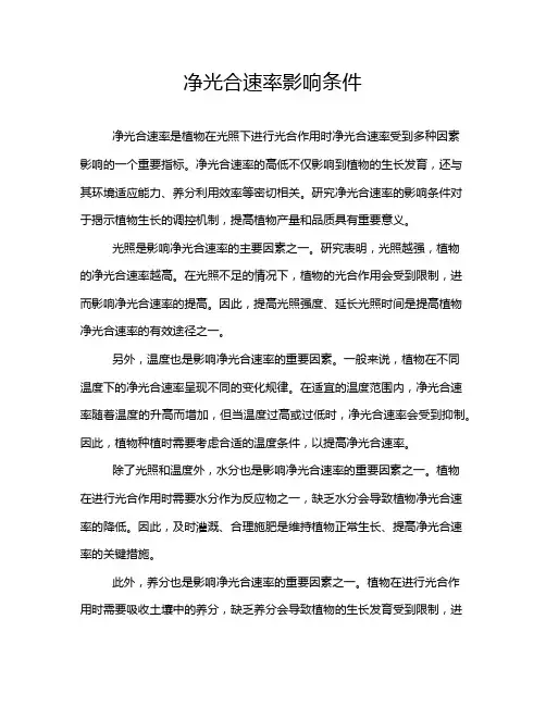 净光合速率影响条件