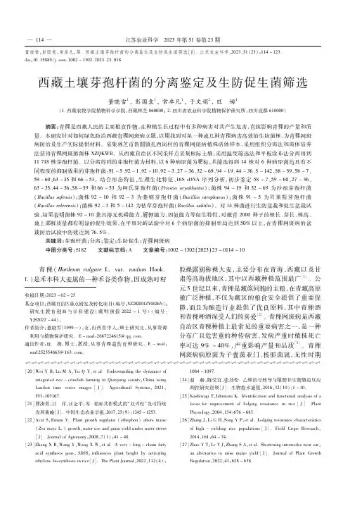西藏土壤芽孢杆菌的分离鉴定及生防促生菌筛选