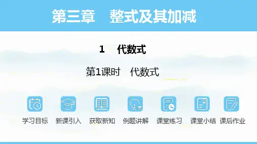 北师大版(2024)七年级上册3.1.1 代数式  课件(共32张PPT)