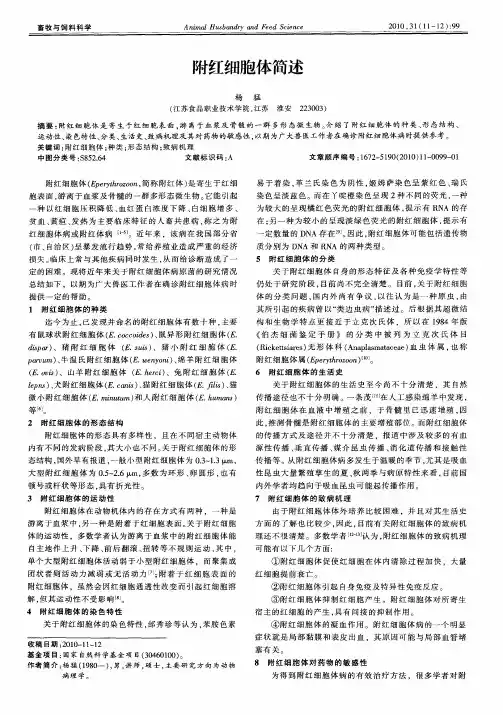 附红细胞体简述