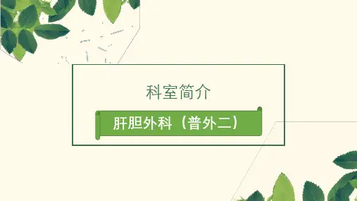 科室介绍  专项ppt