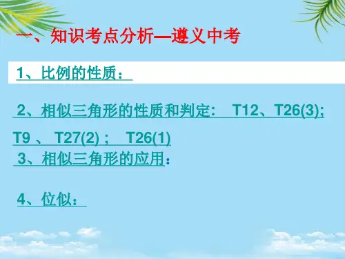 【精】中考总复习 —图形的相似PPT全面版