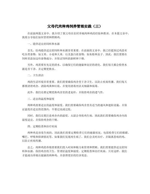 父母代肉种鸡饲养管理实践(三)