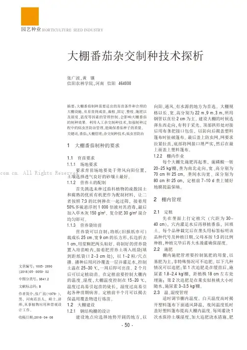 大棚番茄杂交制种技术探析